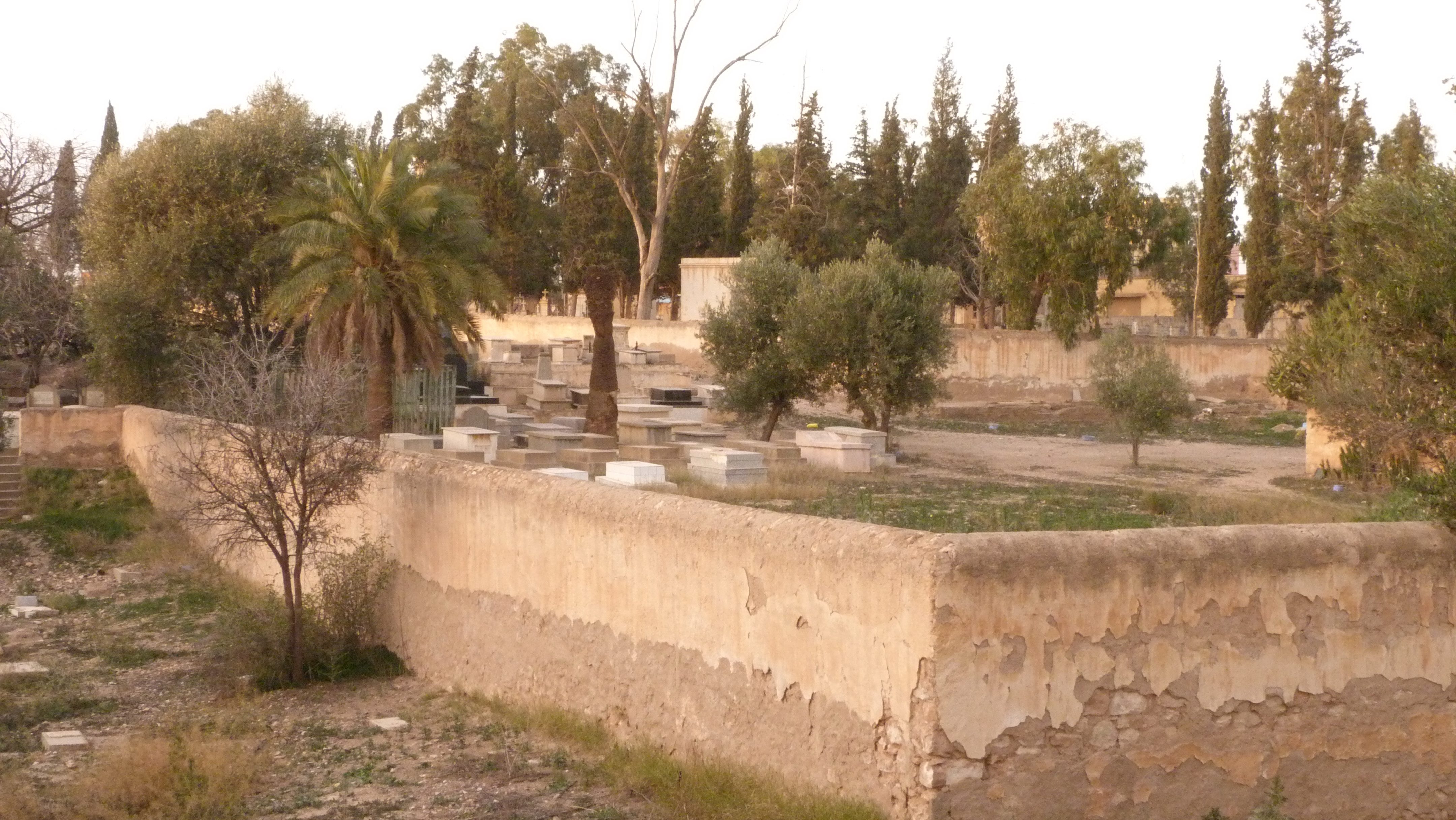 1948 anti-Jewish riots in Oujda and Jerada Logo
