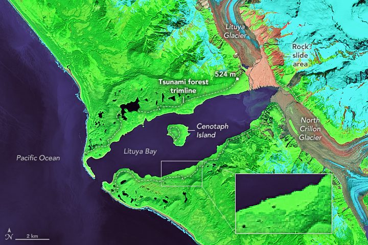 1958 Lituya Bay earthquake and megatsunami Logo