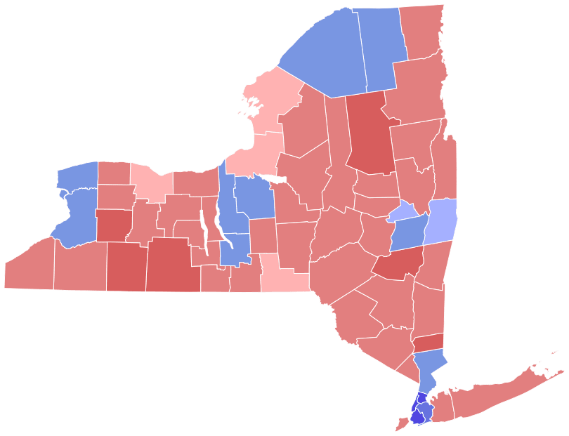 2000 United States Senate election in New York Logo