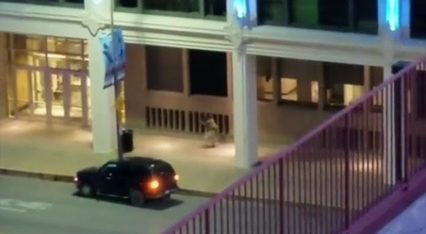 2016 shooting of Dallas police officers Logo