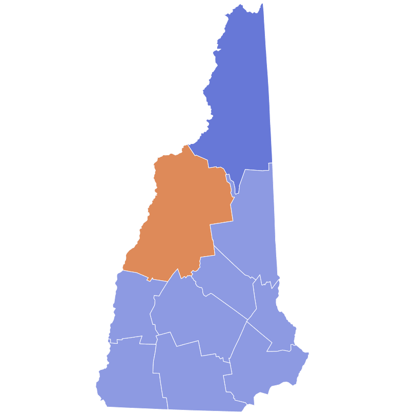 2024 New Hampshire Republican presidential primary Logo