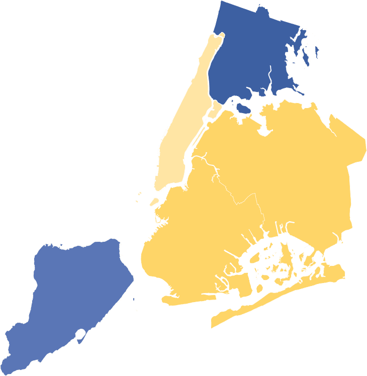 2025 New York City Democratic mayoral primary Logo