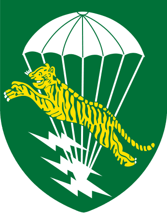 Army of the Republic of Vietnam Special Forces Logo