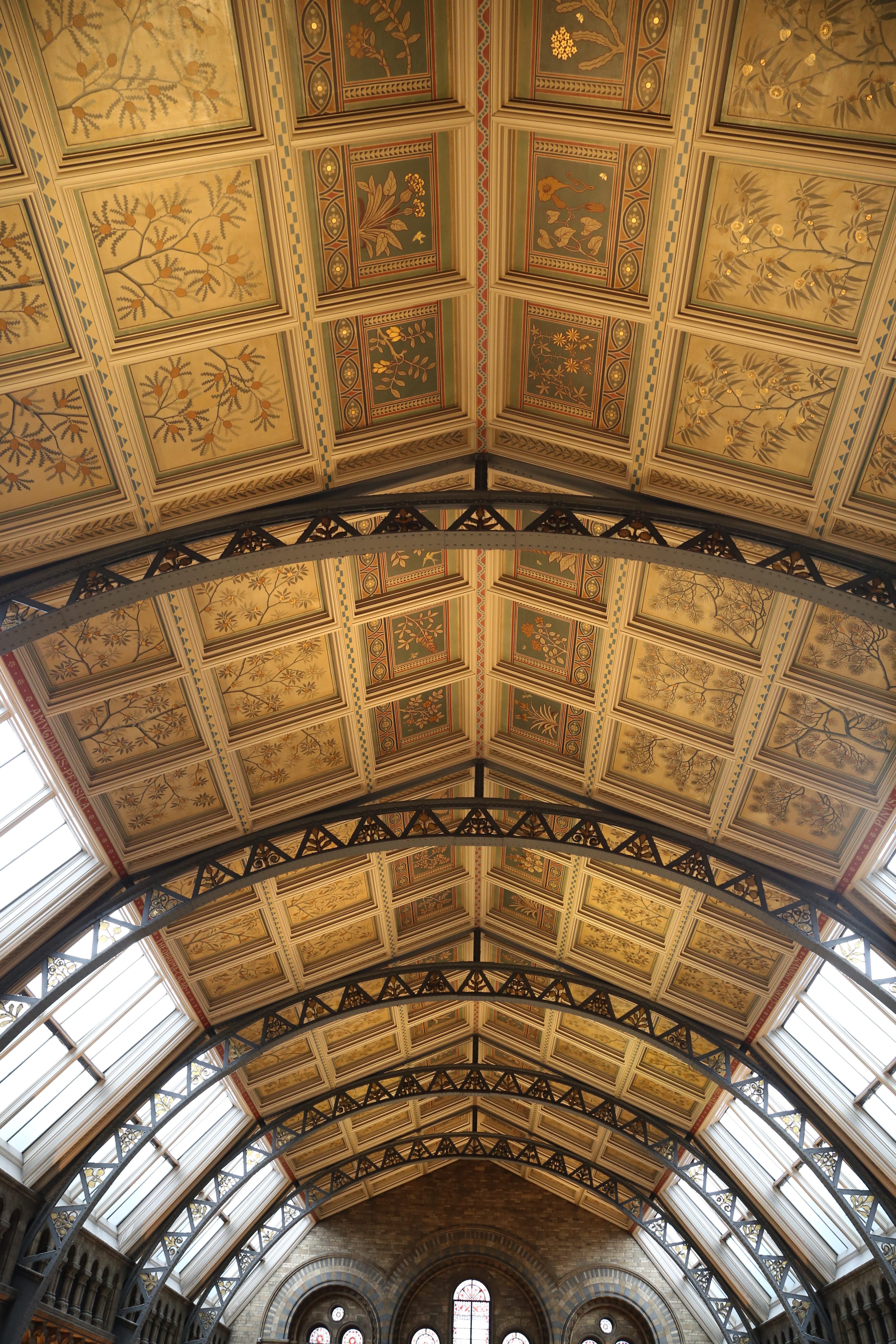 Ceilings of the Natural History Museum, London Logo