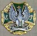Emilia Plater Independent Women's Battalion Logo