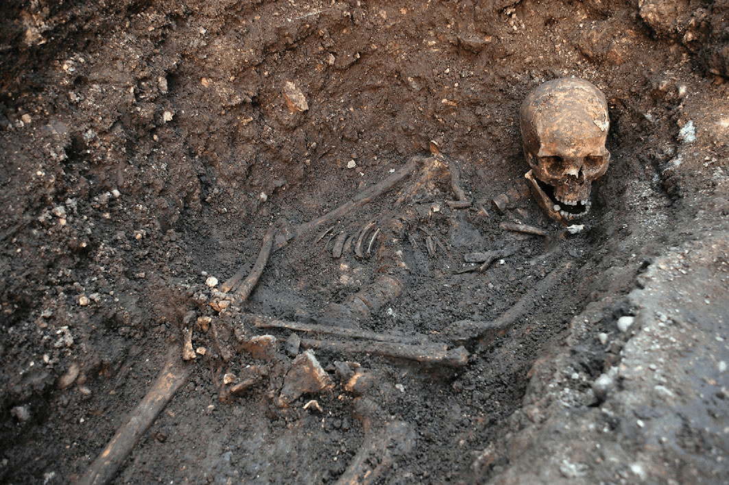 Exhumation and reburial of Richard III of England Logo