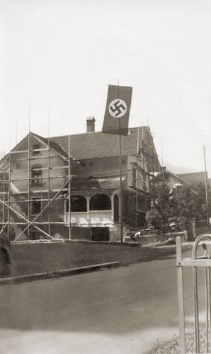 German National Movement in Liechtenstein Logo