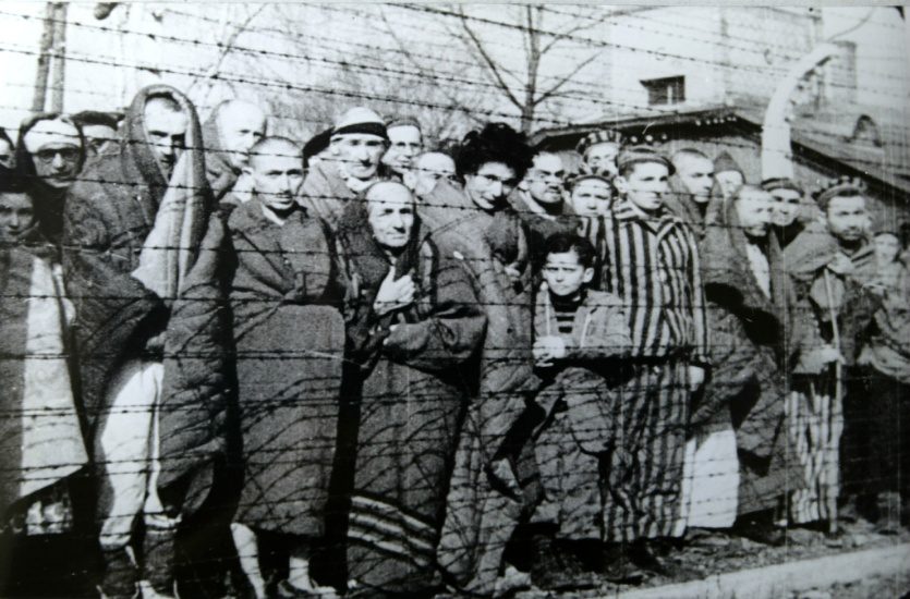 Liberation of Auschwitz concentration camp Logo
