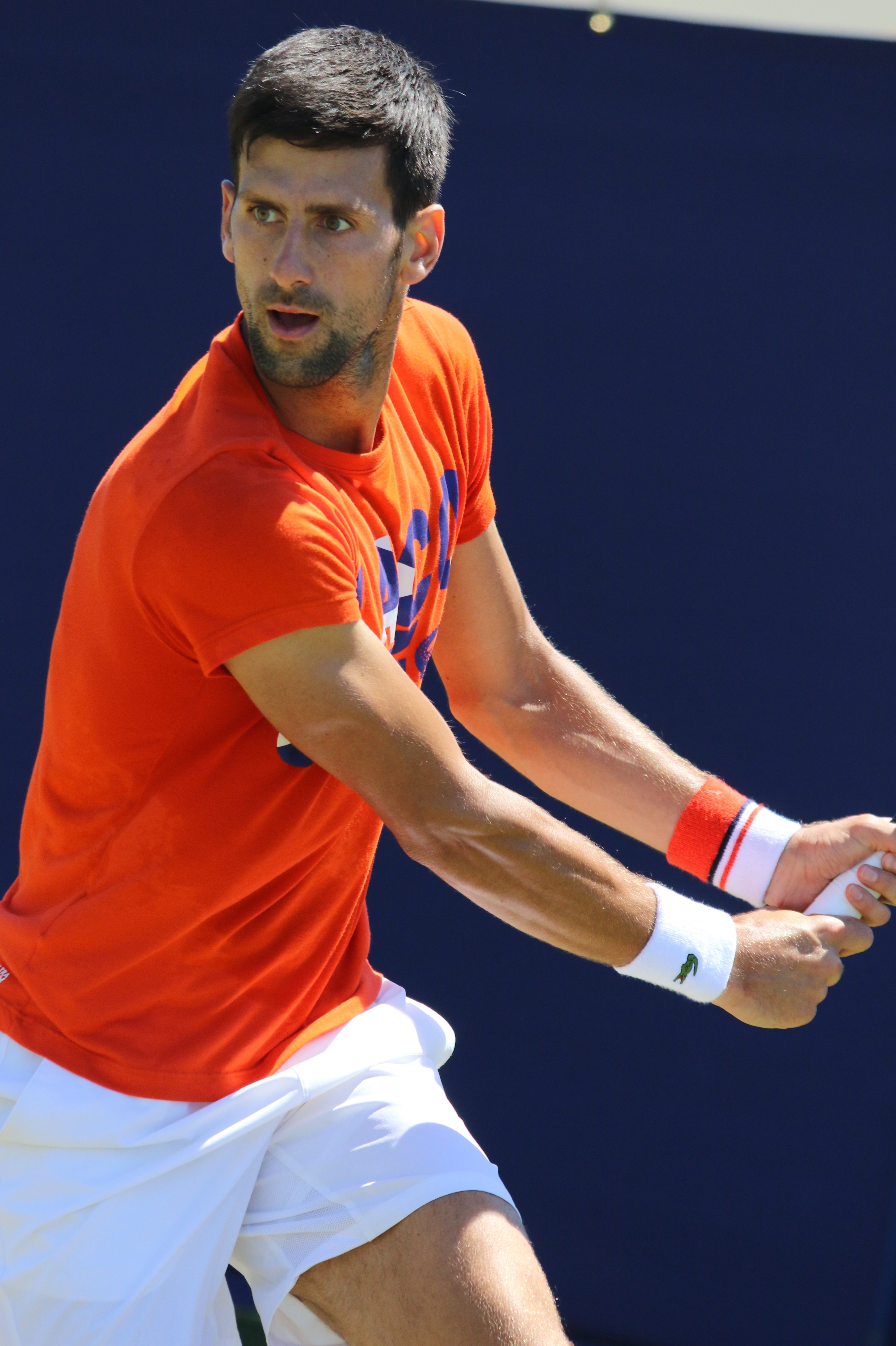 List of Grand Slam men's singles champions Logo