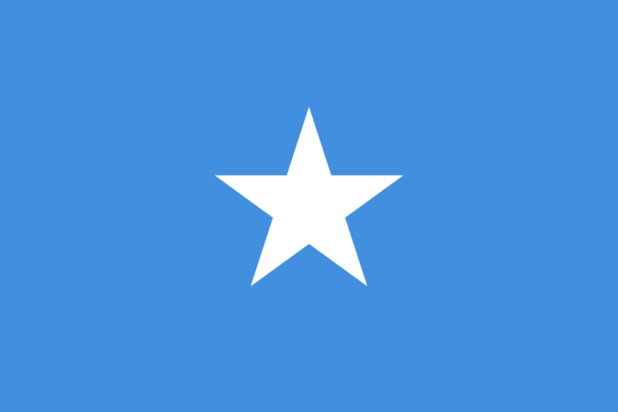 Transitional Federal Government of Somalia Logo